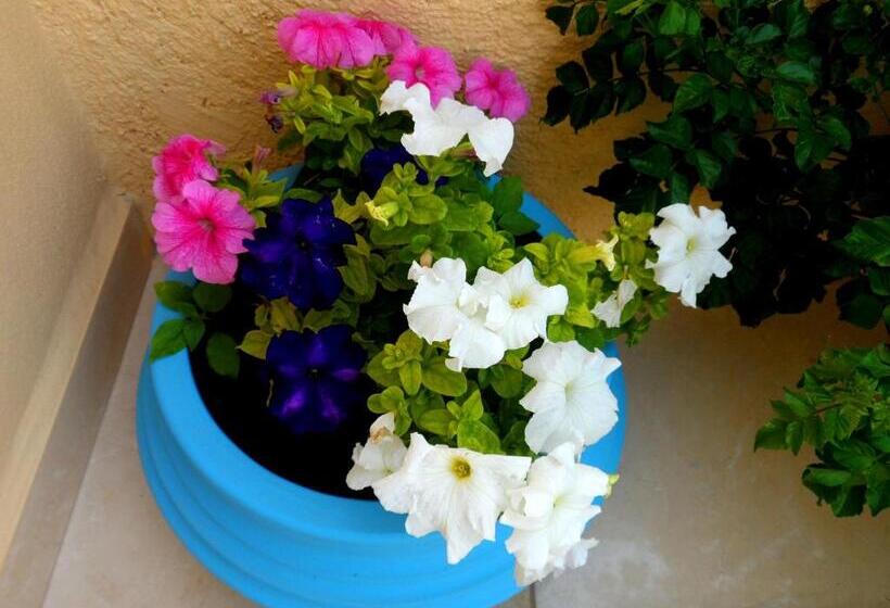 هتل Papafotis Apartments & Suites