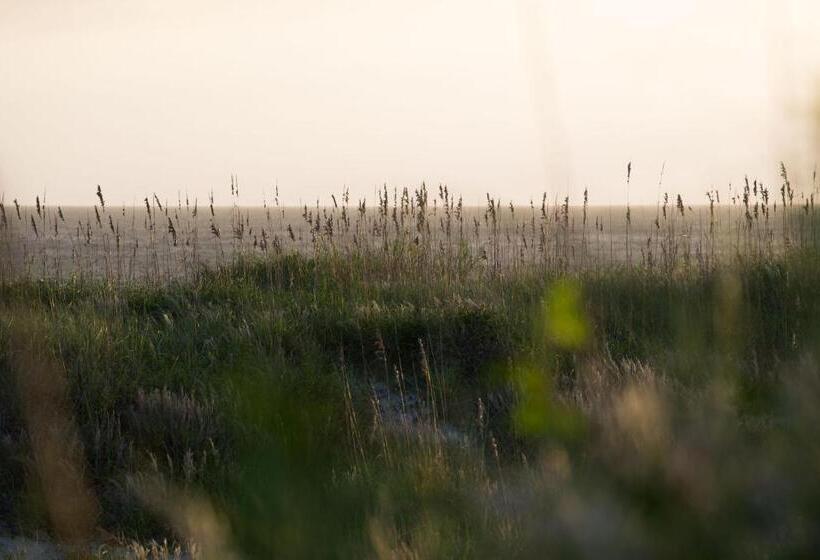 فندق Atlantic Beach Resort, A Ramada By Wyndham