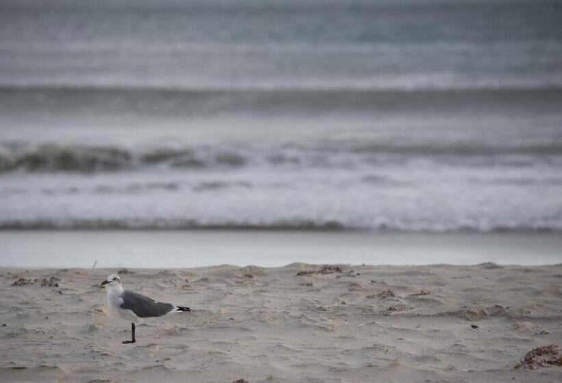 فندق Atlantic Beach Resort, A Ramada By Wyndham