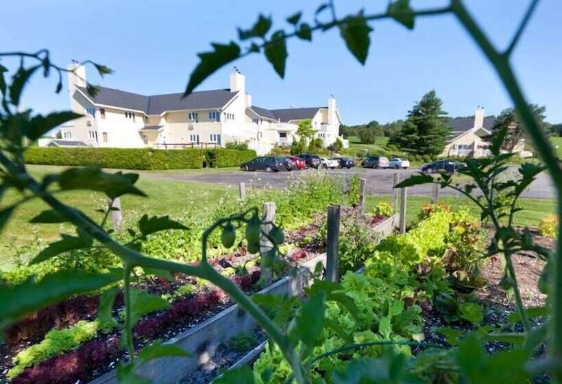 酒店 Auberge West Brome