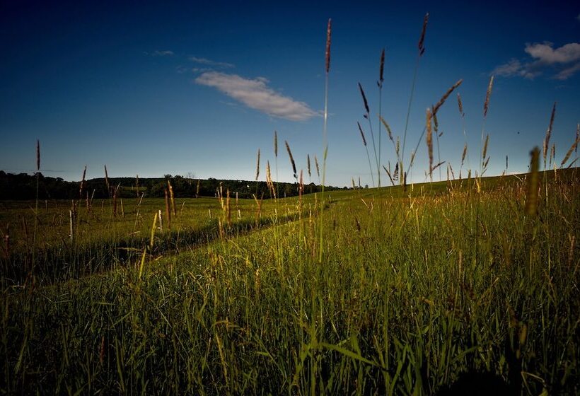 酒店 Auberge West Brome