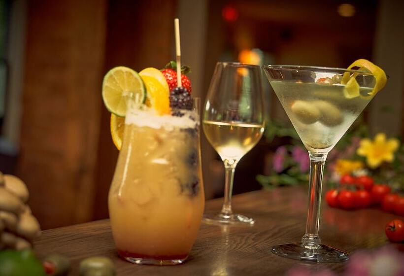 酒店 Auberge West Brome