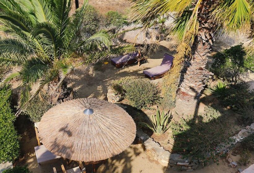 酒店 Coralli Beach Apartments