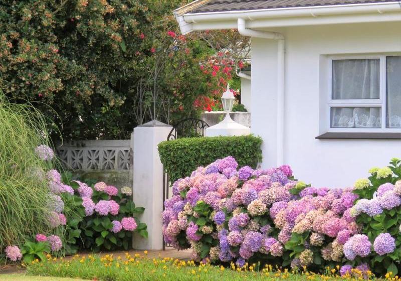 호텔 Hortensia Lodge