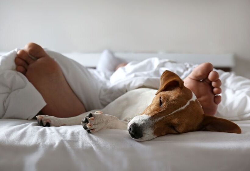 ホテル Hyatt Place Portland Old Port