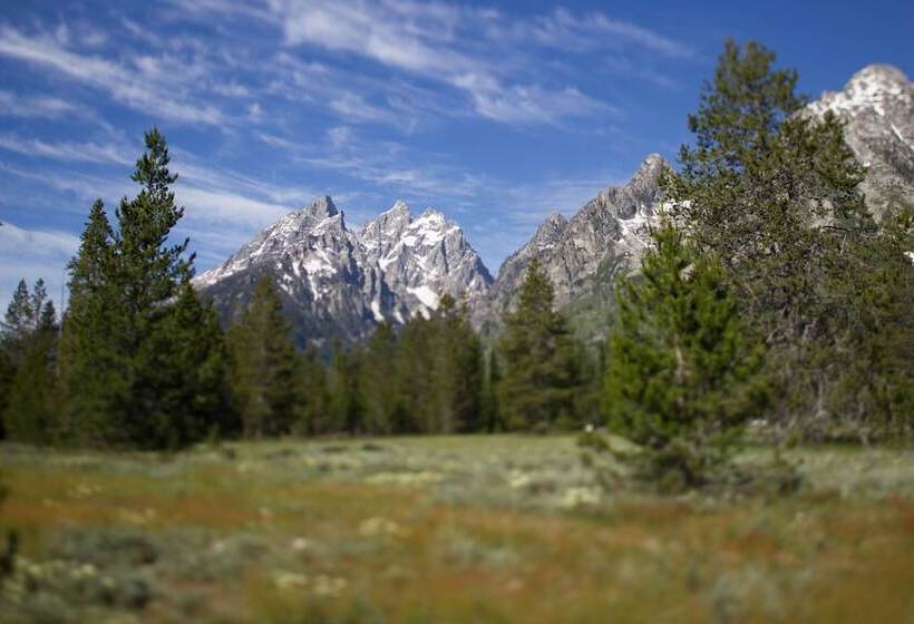 فندق Jenny Lake Lodge