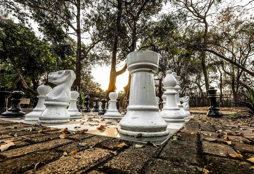 酒店 Kruger Adventure Lodge