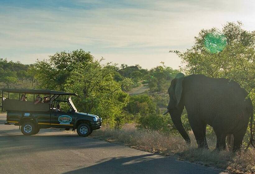 酒店 Kruger Adventure Lodge