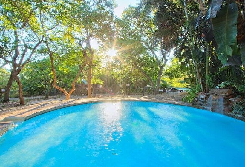 酒店 Kruger Adventure Lodge