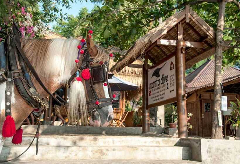 호텔 Manta Dive Resort Gili Air