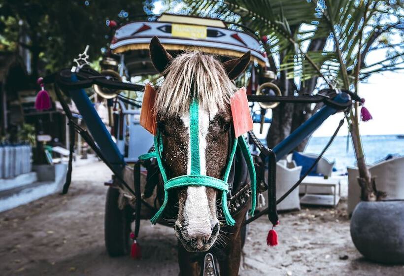 호텔 Manta Dive Resort Gili Air