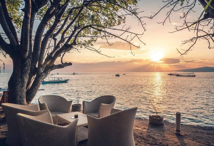호텔 Manta Dive Resort Gili Air