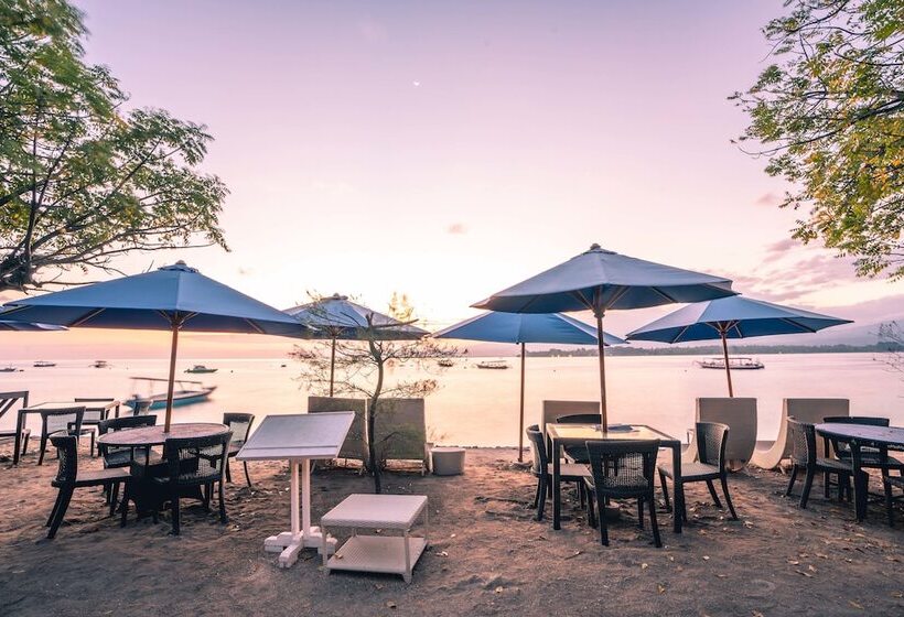 酒店 Manta Dive Resort Gili Air