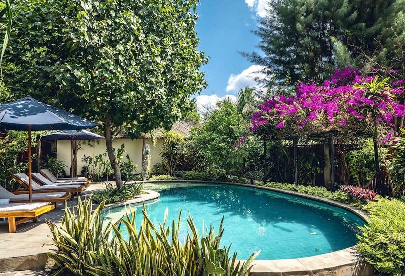 酒店 Manta Dive Resort Gili Air