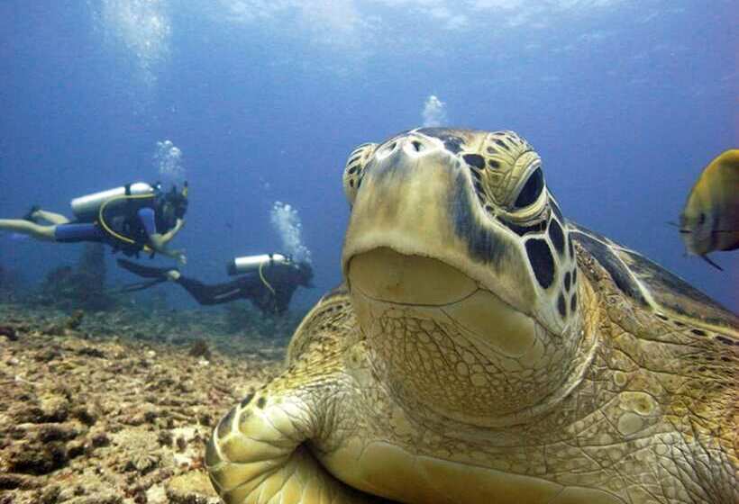 酒店 Manta Dive Resort Gili Air