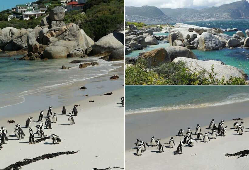 فندق Mariner Guesthouse & Villa