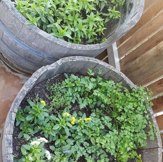 فندق Mariner Guesthouse & Villa