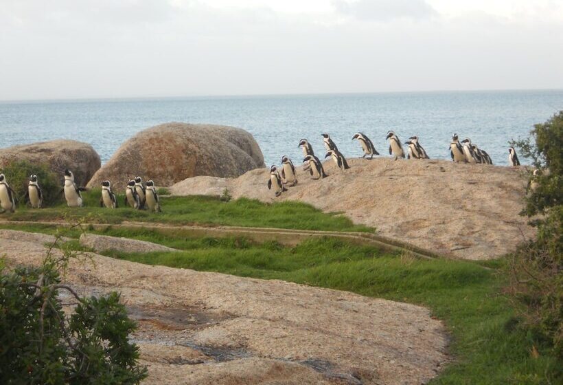 فندق Mariner Guesthouse & Villa