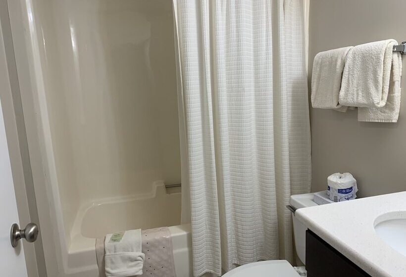 בית מלון כפרי Olde Gatlinburg Rentals