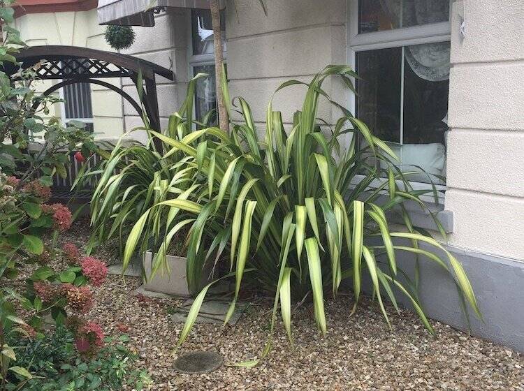 בית מלון כפרי Phantele Bed And Breakfast