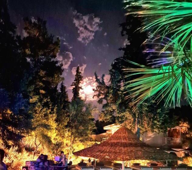 فندق Trees Boutique Art