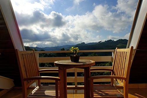 Отель Pousada Dotto Chateau