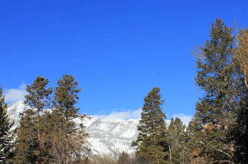 فندق Rendezvous Mountain Rentals