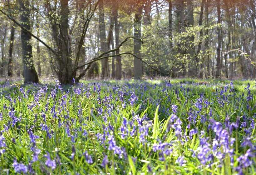 ホテル The Kingsley At Eversley