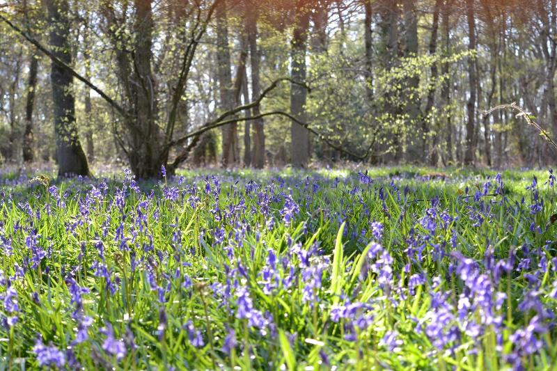 ホテル The Kingsley At Eversley