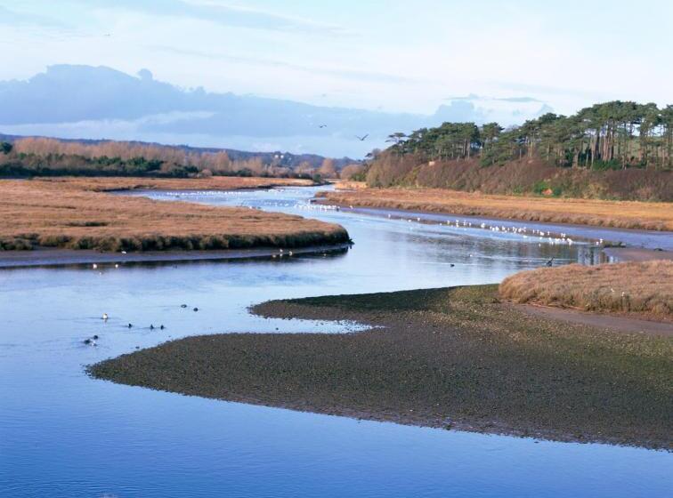 בית מלון כפרי The Long Range