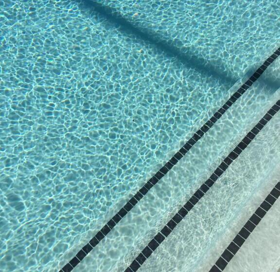 ホテル The Palm Springs