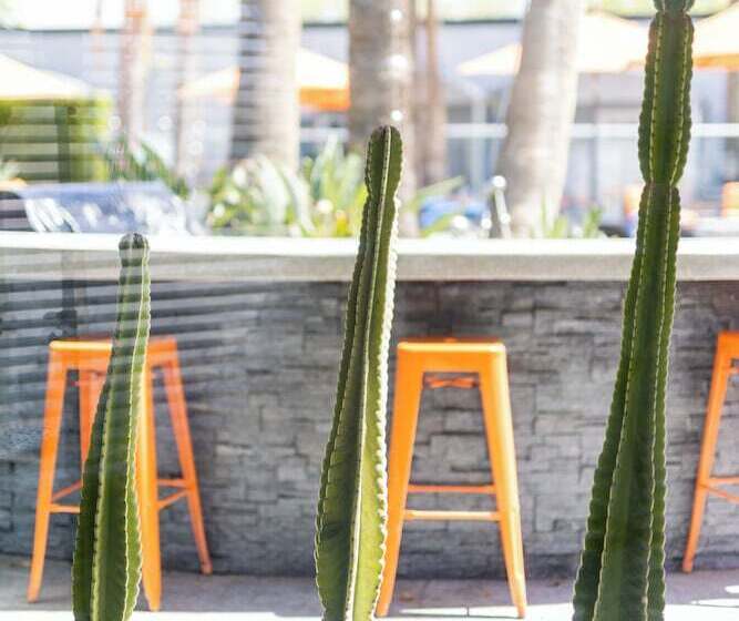 ホテル The Palm Springs