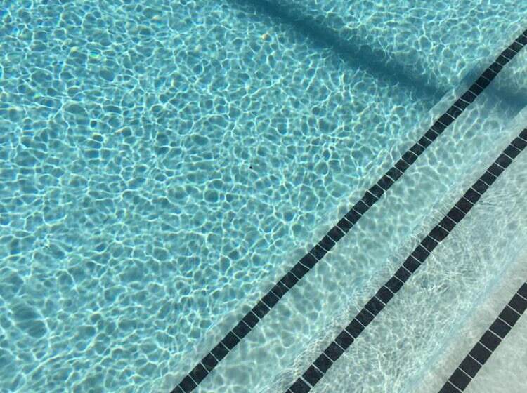 ホテル The Palm Springs