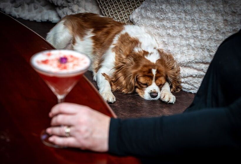 Отель Woolpack Inn