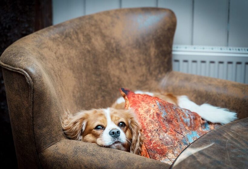 Отель Woolpack Inn