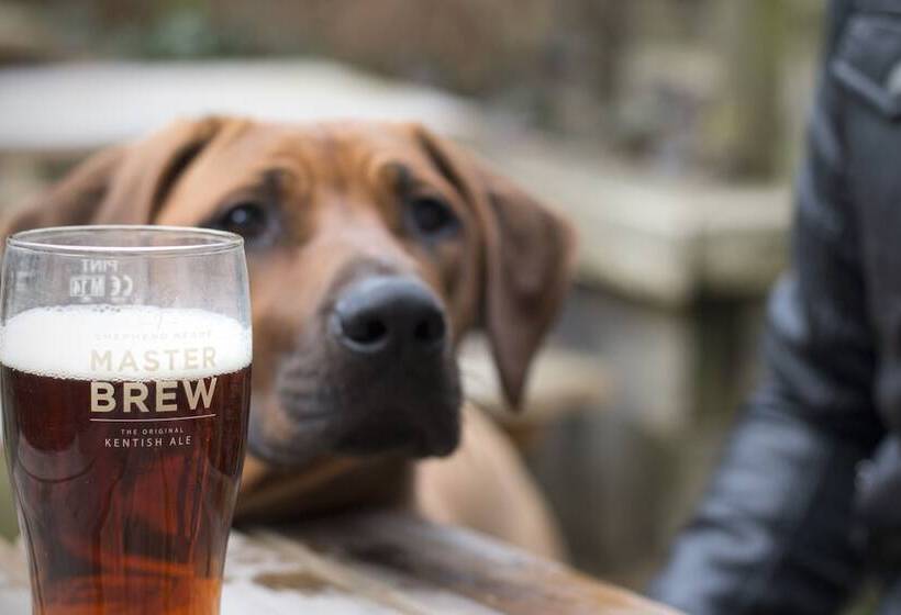 Отель Woolpack Inn