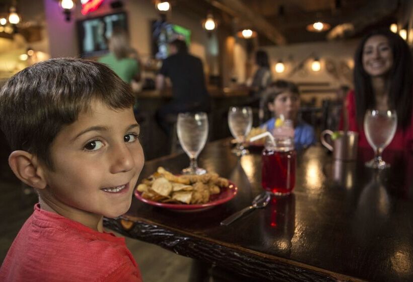 酒店 Timber Ridge Lodge And Waterpark