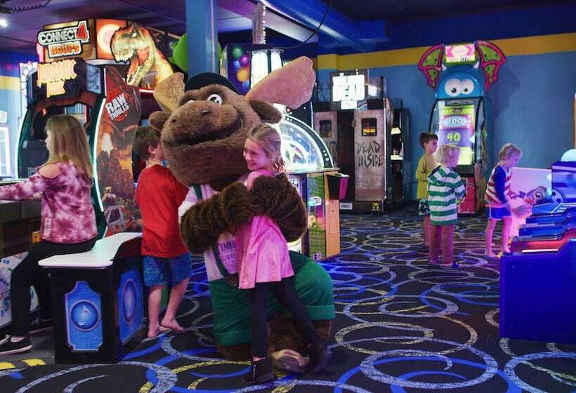 酒店 Timber Ridge Lodge And Waterpark