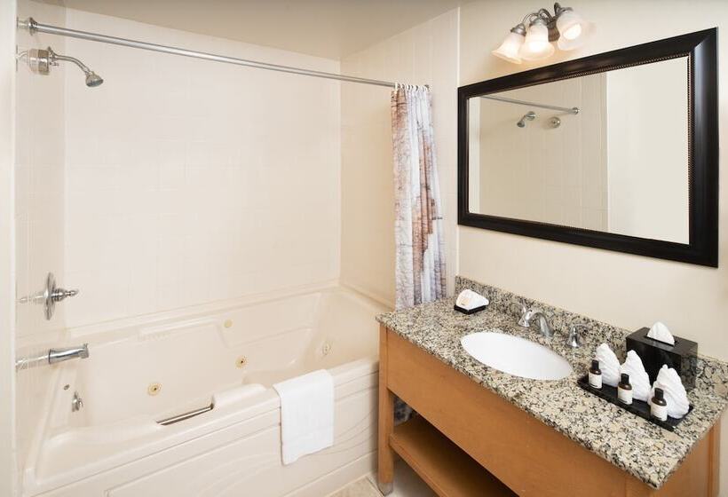 هتل Timber Ridge Lodge And Waterpark