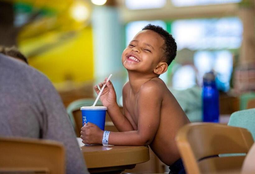 酒店 Timber Ridge Lodge And Waterpark