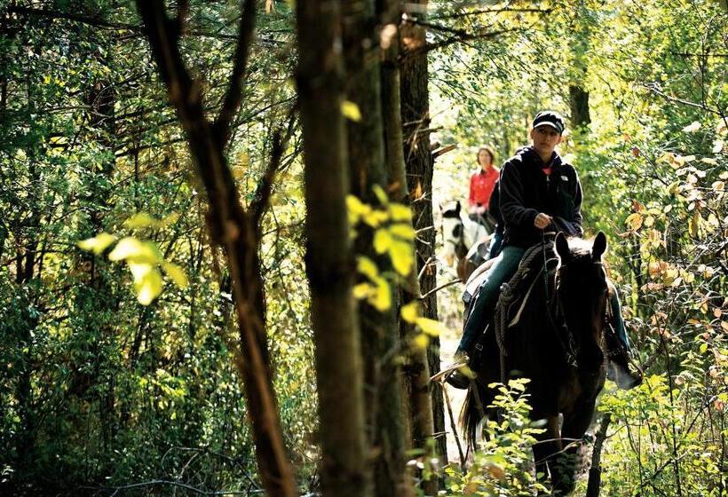 酒店 Timber Ridge Lodge And Waterpark