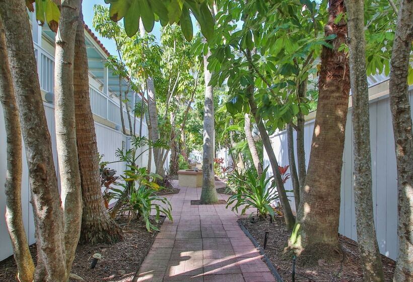 فندق Tortuga Inn Beach Resort