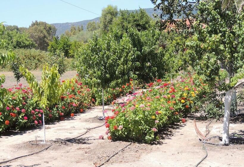 هتل Vicky Studios