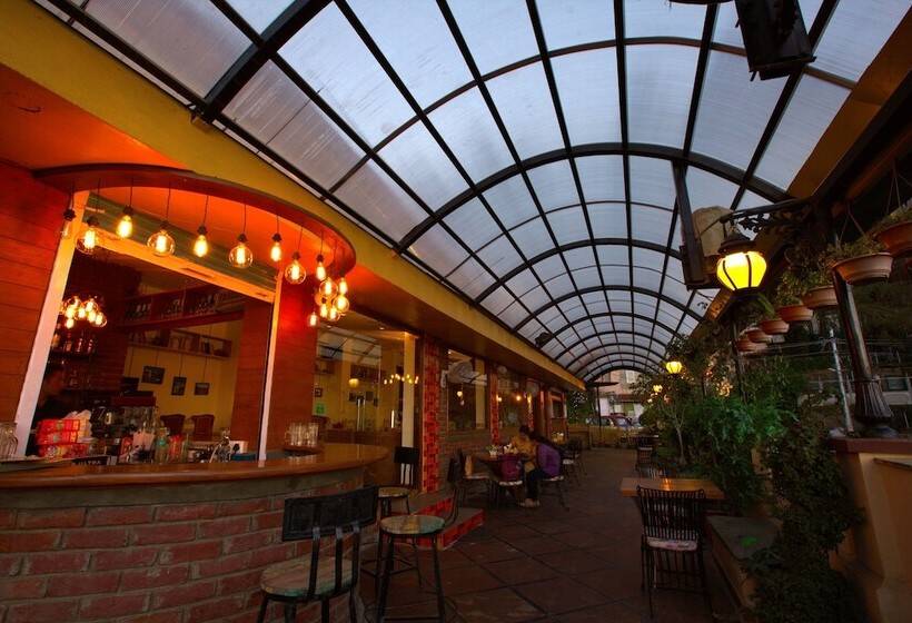 Willow Banks   Boutique 4 Star Hotel On The Mall Road Shimla