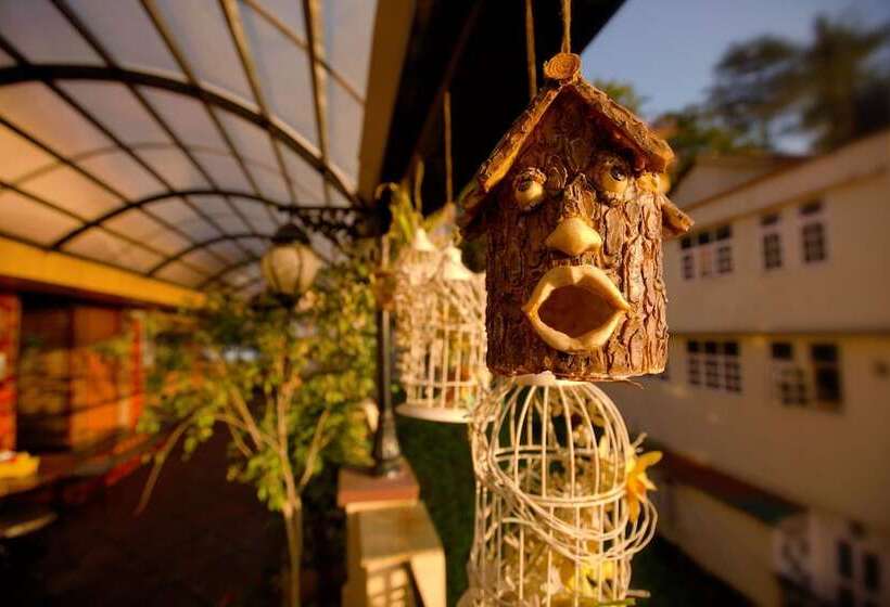 Willow Banks   Boutique 4 Star Hotel On The Mall Road Shimla