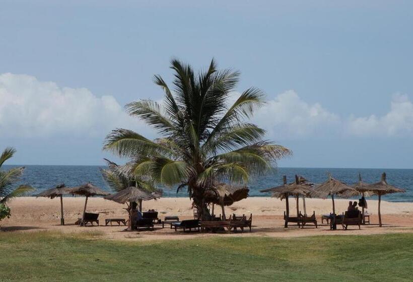 Lemon Creek Hotel Resort