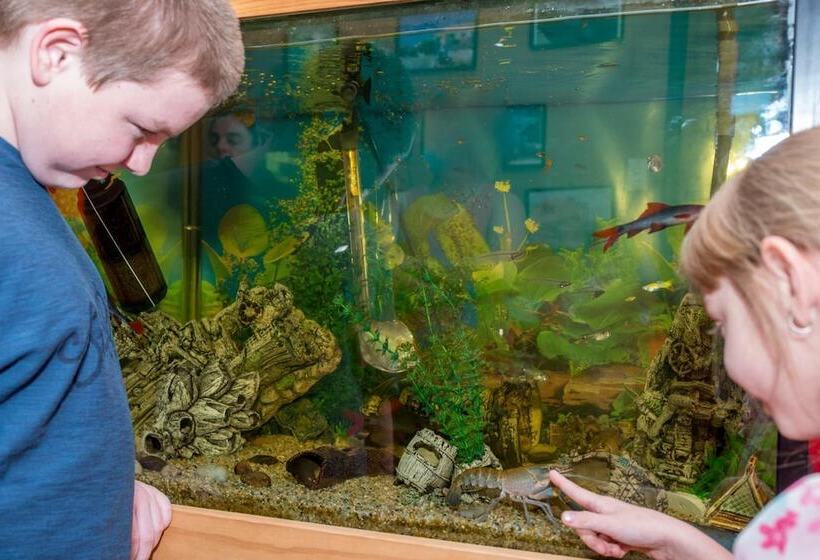 Abajaz Motel Centrally Located Shaded Parking