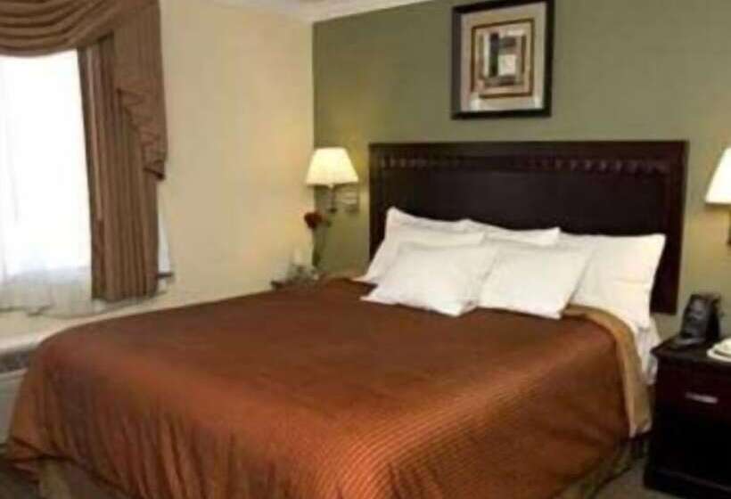 מוטל North Bay Inn