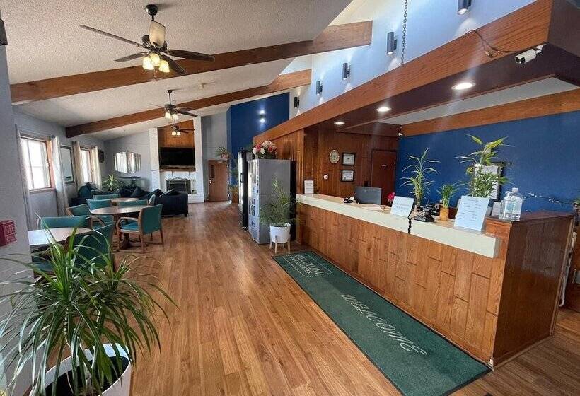 فندق على الطريق The Belgium Inn & Suites