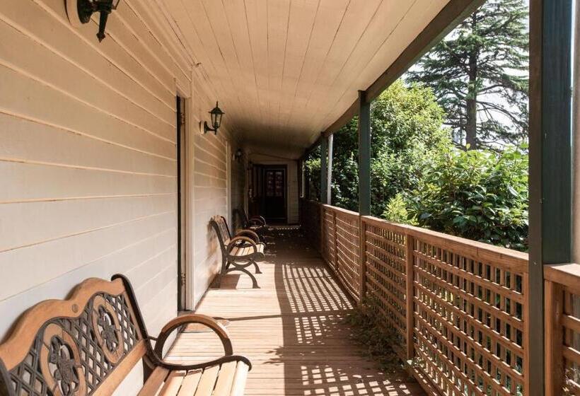 פנסיון Fitzpatricks Inn